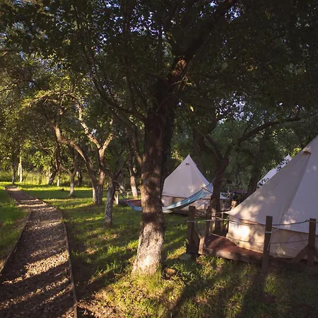 My Glamping Luxury tent Dalnic
